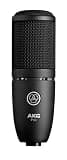 AKG Pro Audio P120